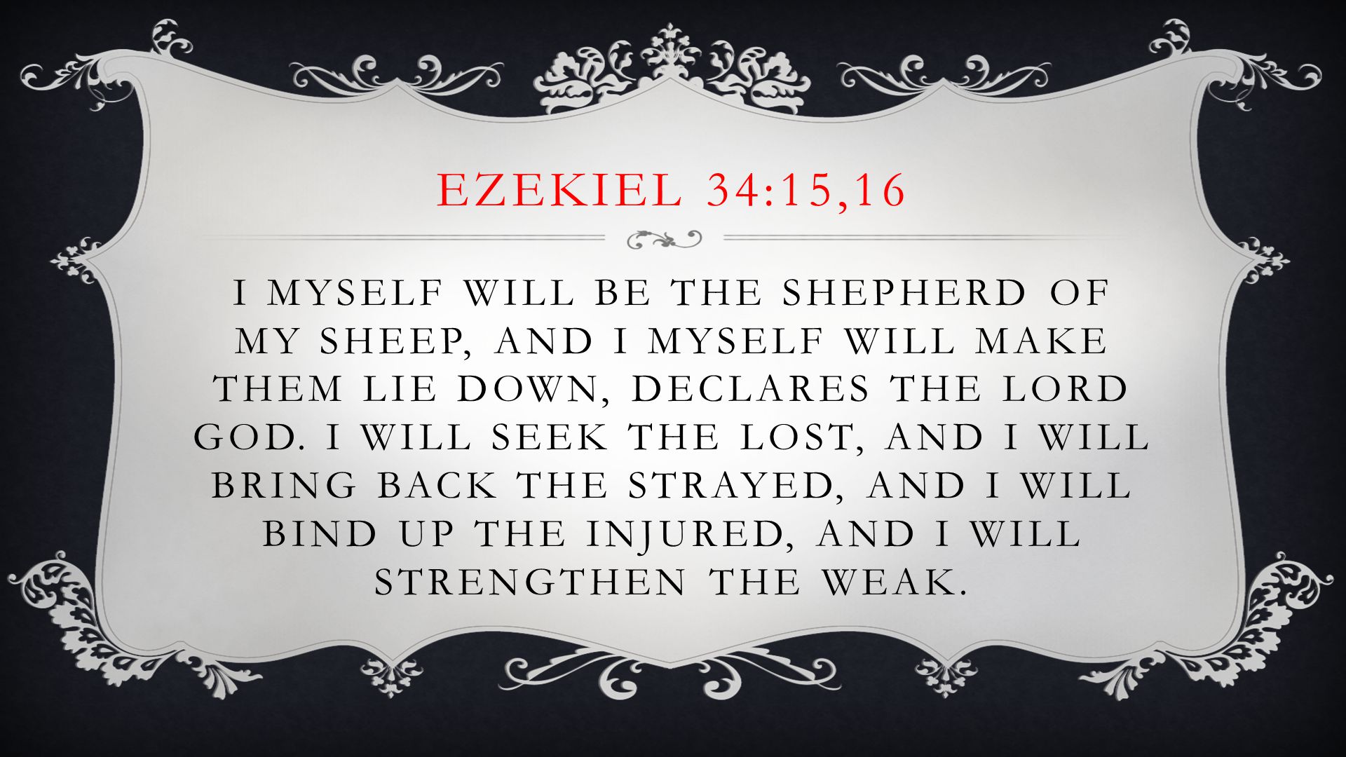 EZEKIEL 34:15,16 I MYSELF WILL BE THE SHEPHERD OF MY SHEEP, AND I MYSELF  WILL MAKE THEM LIE DOWN, DECLARES THE LORD GOD. I WILL SEEK THE LOST, AND I  WILL. -