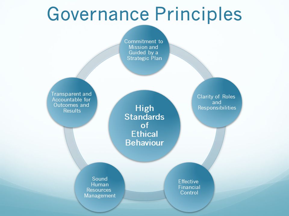 High Standards of Ethical Behaviour Commitment to Mission and Guided by a Strategic Plan Clarity of Roles and Responsibilities Effective Financial Control Sound Human Resources Management Transparent and Accountable for Outcomes and Results Governance Principles