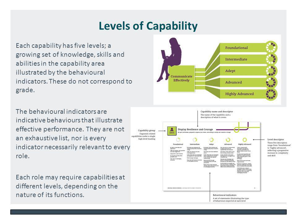 NSW DEPARTMENT OF EDUCATION AND COMMUNITIES – UNIT/DIRECTORATE NAME   Each capability has five levels; a growing set of knowledge, skills and abilities in the capability area illustrated by the behavioural indicators.