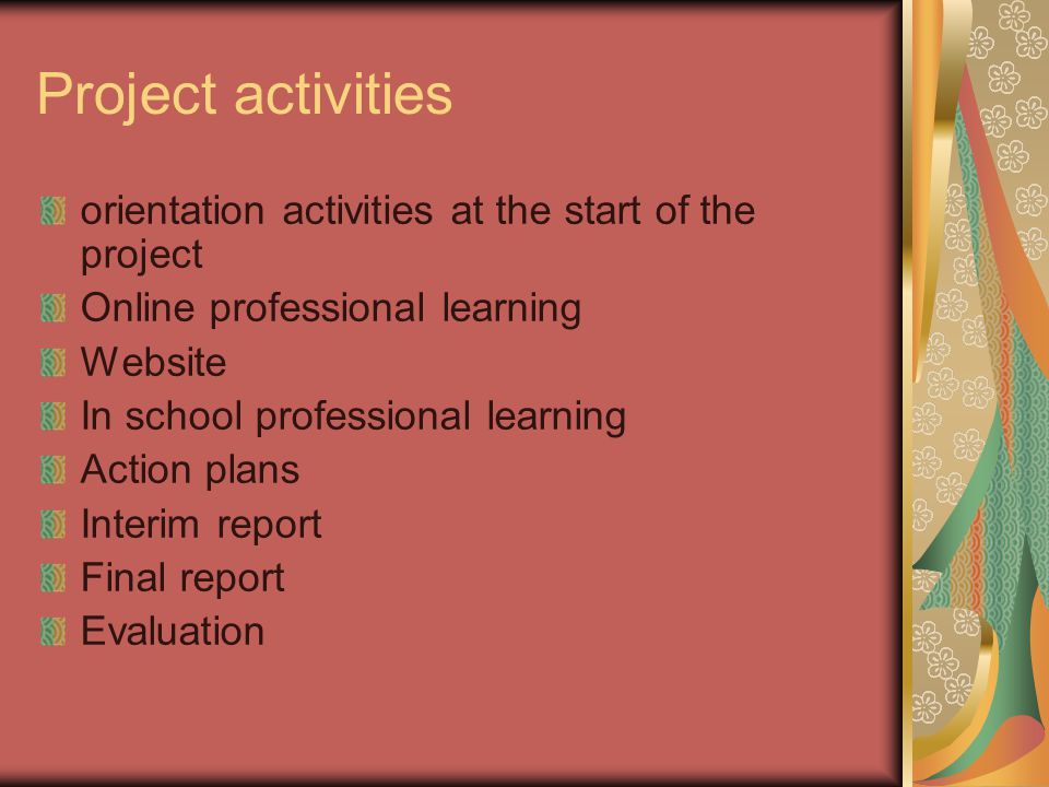 Project activities orientation activities at the start of the project Online professional learning Website In school professional learning Action plans Interim report Final report Evaluation