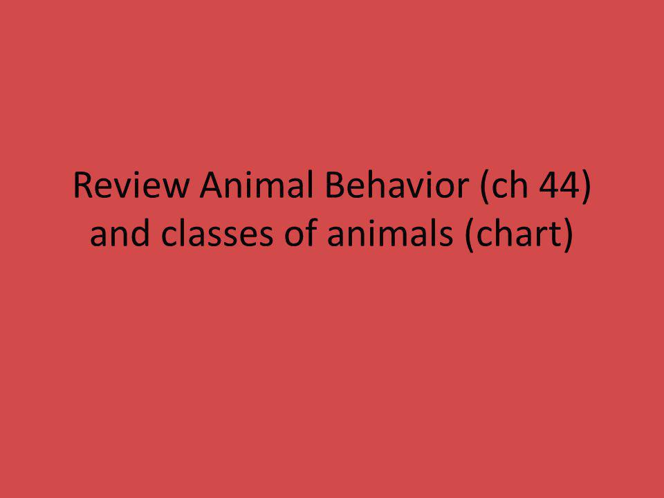 Animal Classes Chart