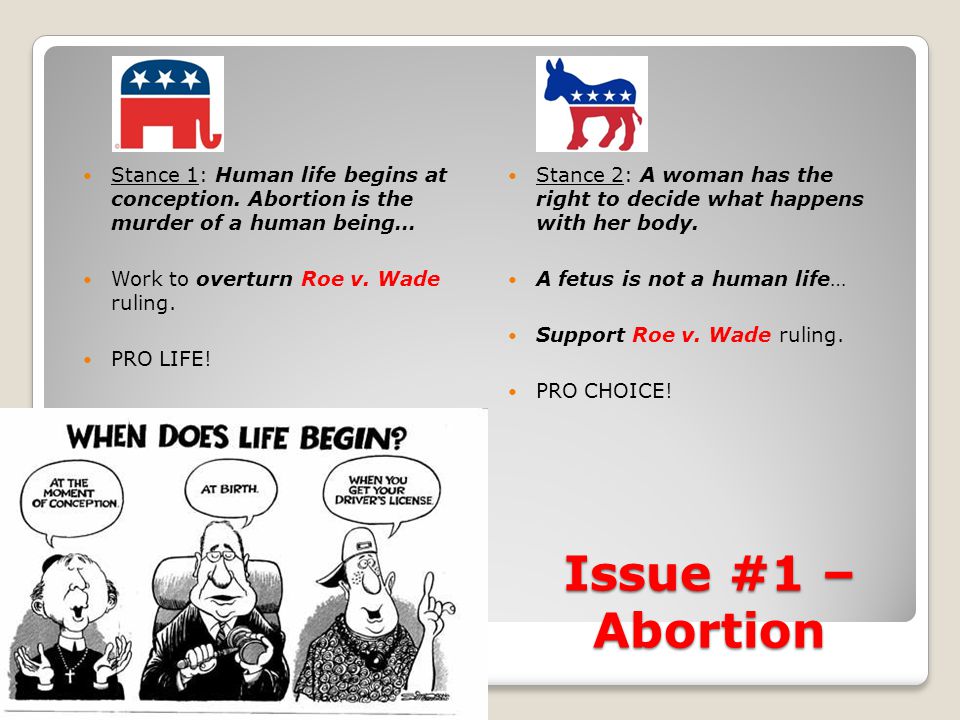 Issue #1 – Abortion Stance 1: Human life begins at conception.