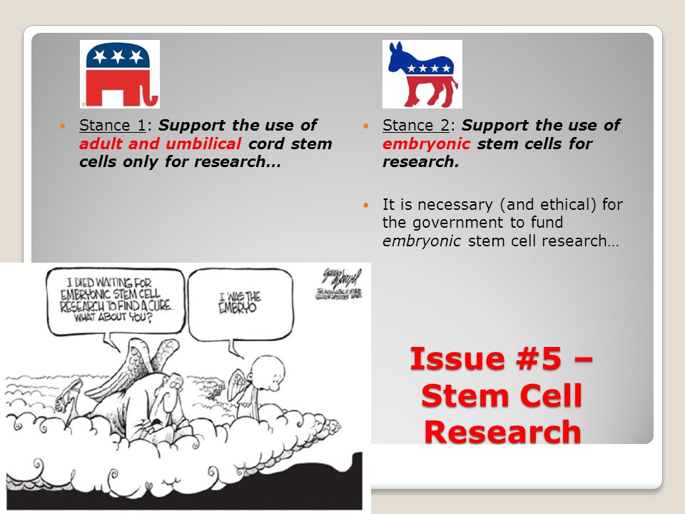 Issue #5 – Stem Cell Research Stance 1: Support the use of adult and umbilical cord stem cells only for research… Stance 2: Support the use of embryonic stem cells for research.