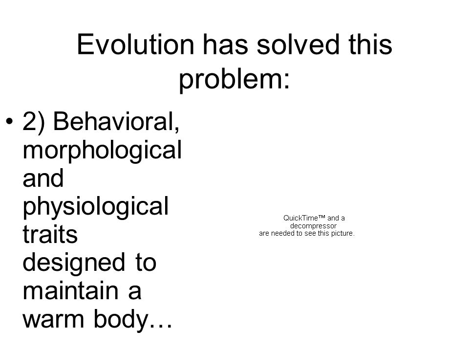 Evolution has solved this problem: 2) Behavioral, morphological and physiological traits designed to maintain a warm body…
