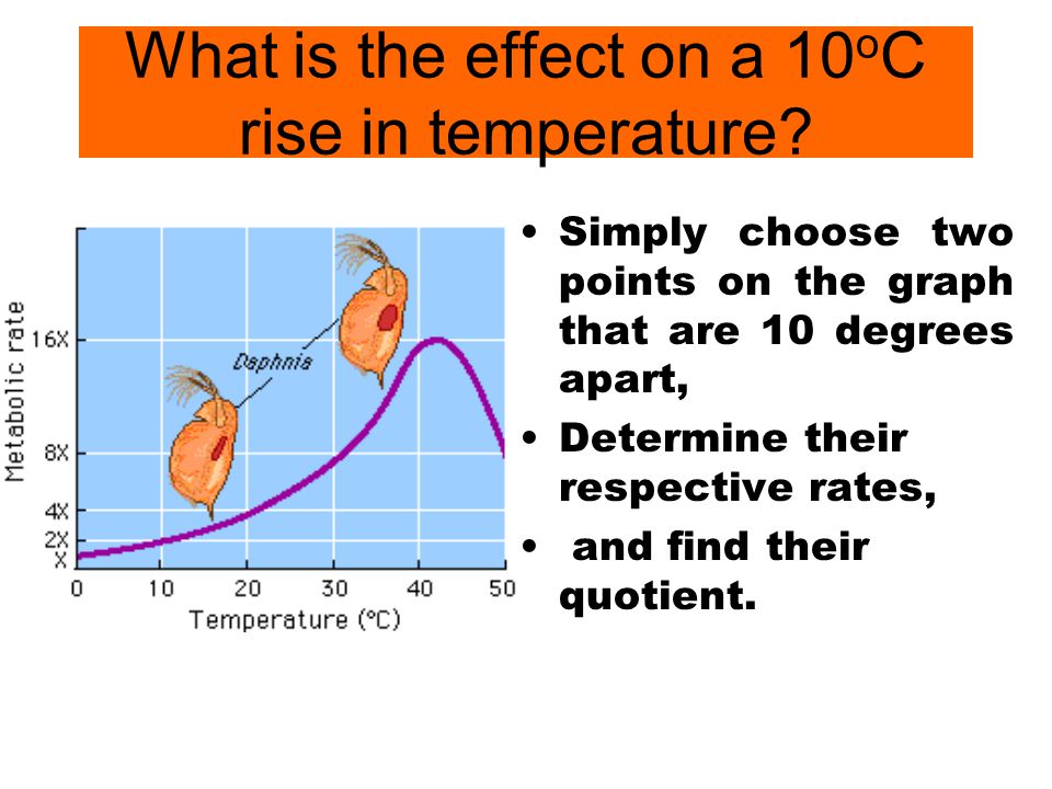 What is the effect on a 10 o C rise in temperature.