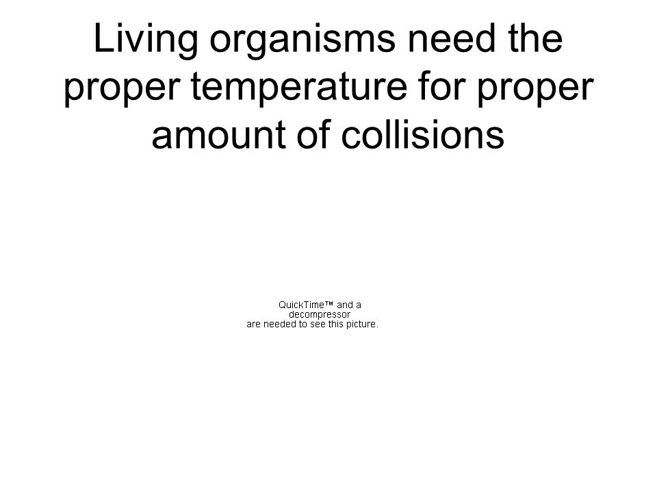 Living organisms need the proper temperature for proper amount of collisions