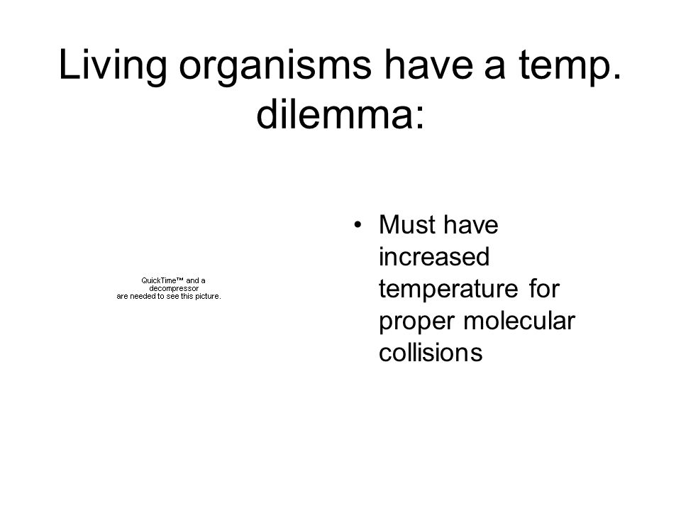 Living organisms have a temp.