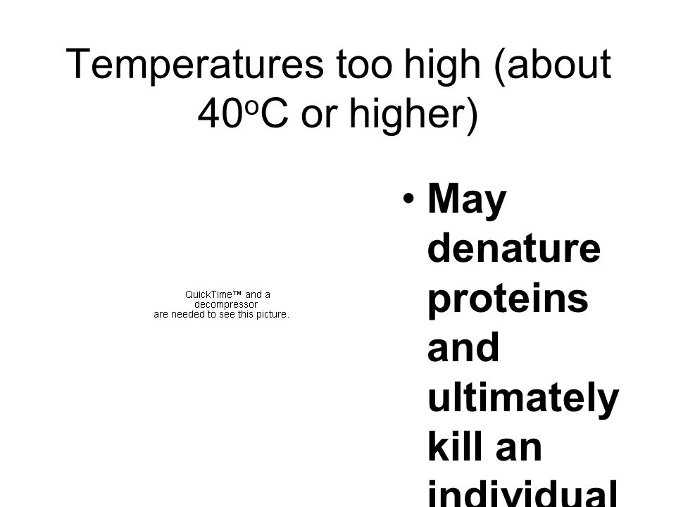 Temperatures too high (about 40 o C or higher) May denature proteins and ultimately kill an individual