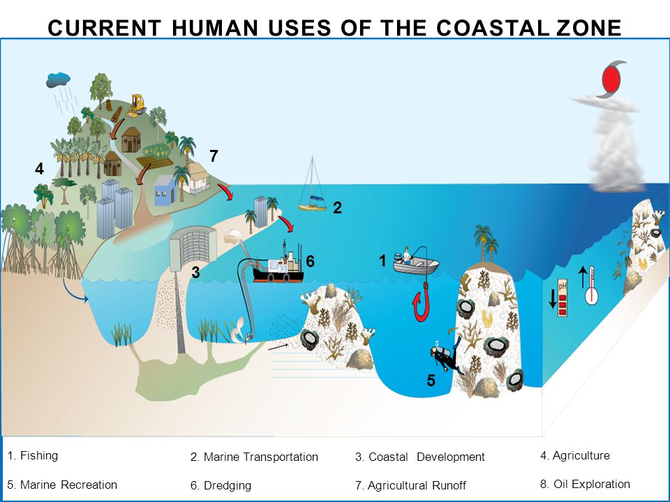 CURRENT HUMAN USES OF THE COASTAL ZONE 1. Fishing 2.