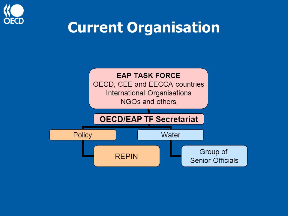 Current Organisation EAP TASK FORCE OECD, CEE and EECCA countries International Organisations NGOs and others OECD/EAP TF Secretariat Policy REPIN Water Group of Senior Officials