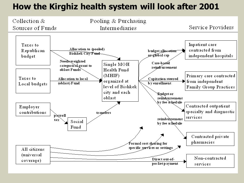 How the Kirghiz health system will look after 2001