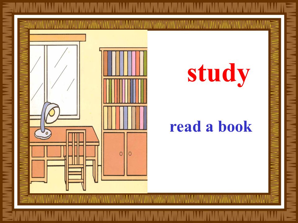 study read a book