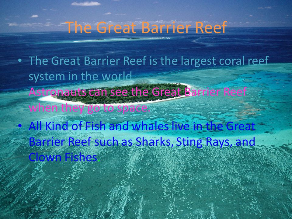 The Great Barrier Reef The Great Barrier Reef is the largest coral reef system in the world.