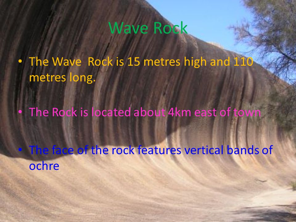 Wave Rock The Wave Rock is 15 metres high and 110 metres long.