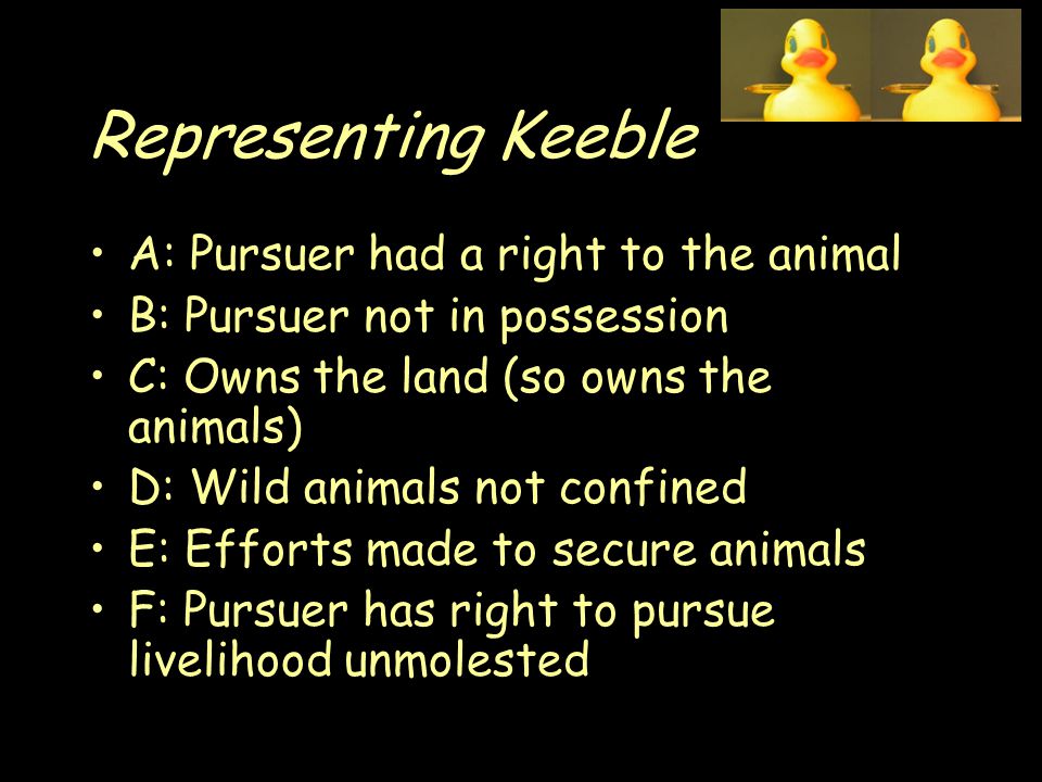 Representing Keeble A: Pursuer had a right to the animal B: Pursuer not in possession C: Owns the land (so owns the animals) D: Wild animals not confined E: Efforts made to secure animals F: Pursuer has right to pursue livelihood unmolested