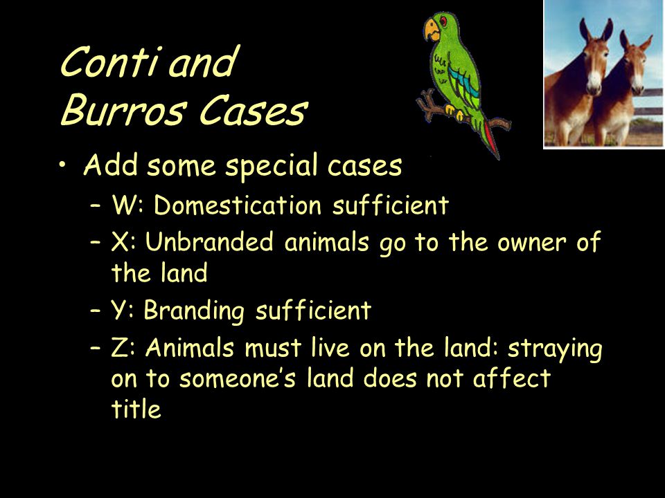 Conti and Burros Cases Add some special cases –W: Domestication sufficient –X: Unbranded animals go to the owner of the land –Y: Branding sufficient –Z: Animals must live on the land: straying on to someone’s land does not affect title