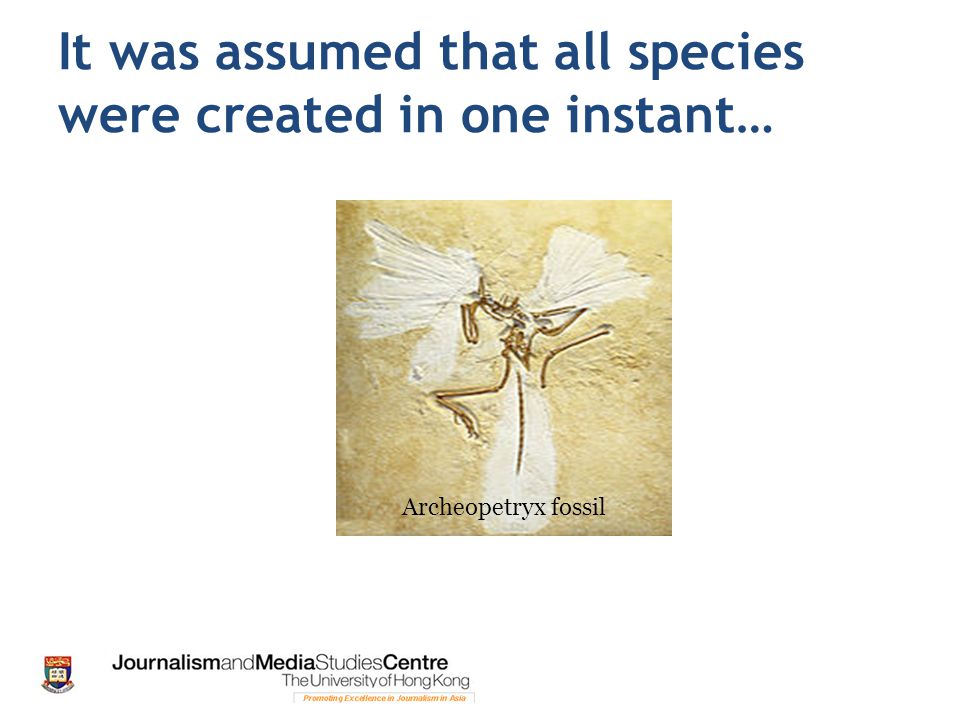 It was assumed that all species were created in one instant… Archeopetryx fossil