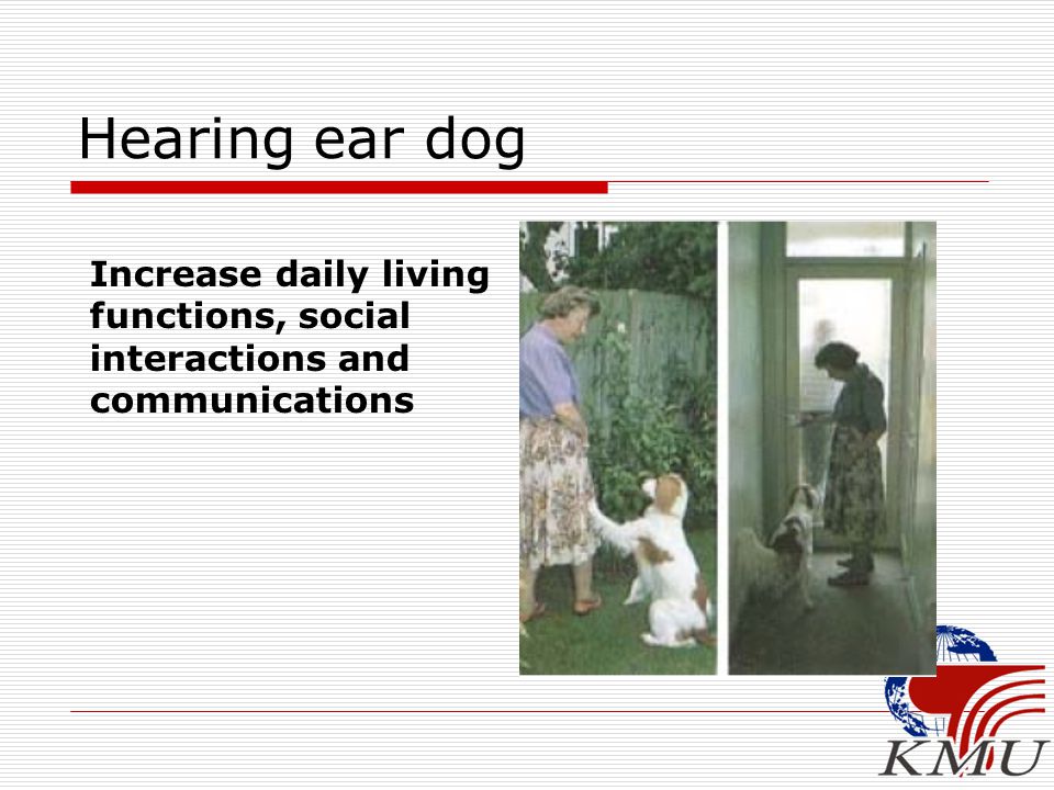 Hearing ear dog Increase daily living functions, social interactions and communications
