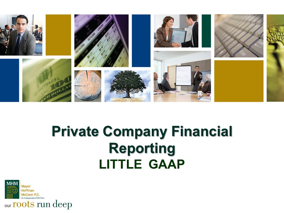 Private Company Financial Reporting Private Company Financial Reporting LITTLE GAAP