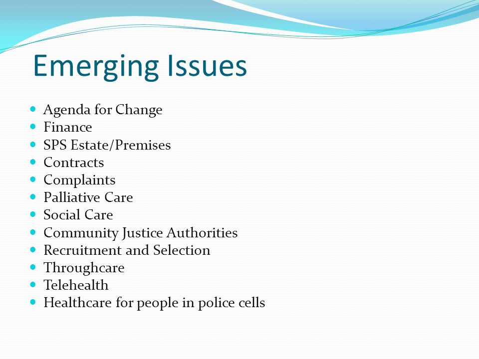 Emerging Issues Agenda for Change Finance SPS Estate/Premises Contracts Complaints Palliative Care Social Care Community Justice Authorities Recruitment and Selection Throughcare Telehealth Healthcare for people in police cells