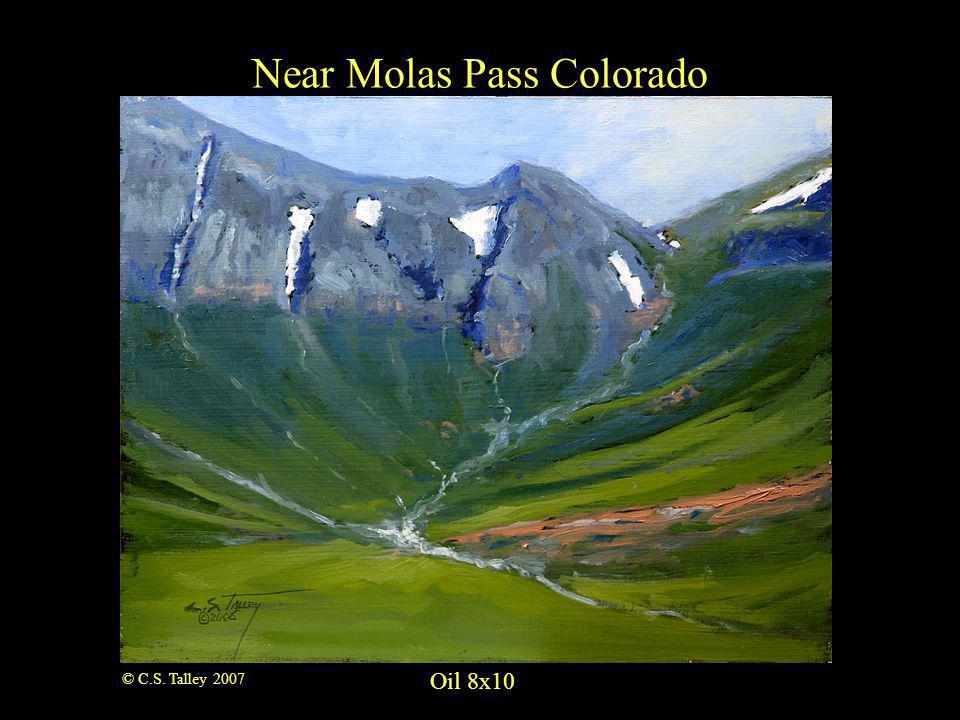Oil 8x10 Near Molas Pass Colorado © C.S. Talley 2007