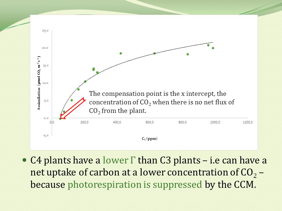 Undergraduate Level Notes. Compensation Point Can also do this as a  drawdown graph. An important physiological parameter in comparing C3 and C4  photosynthesis. - ppt download