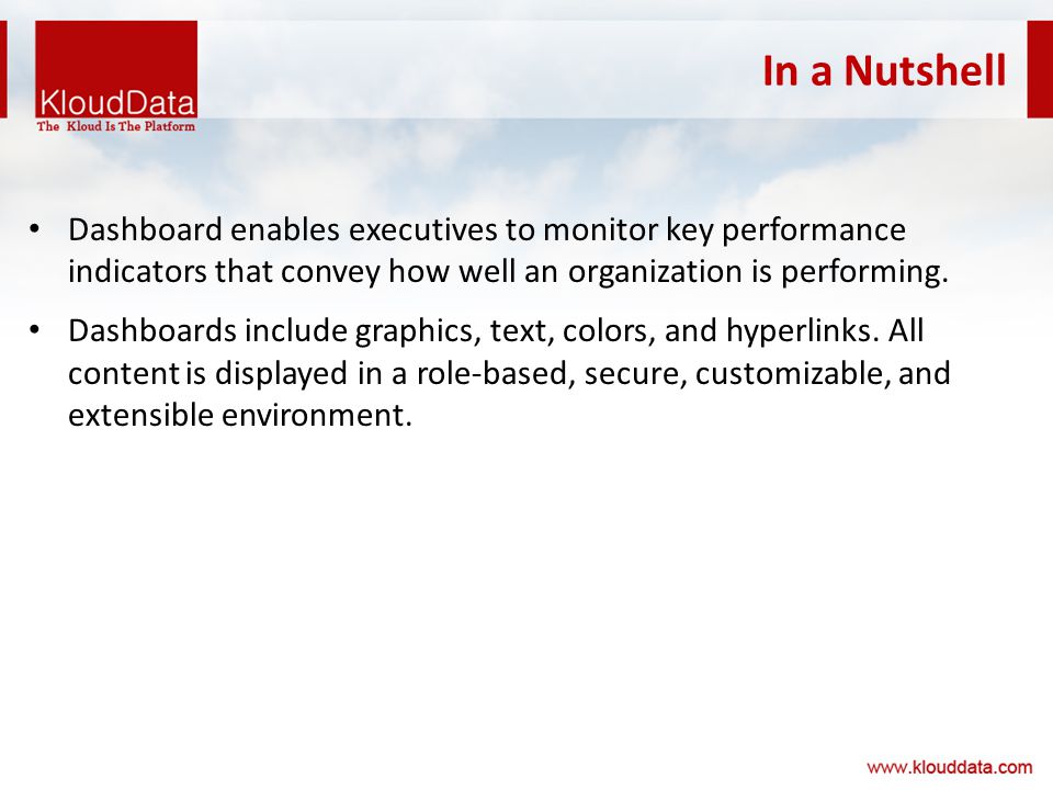 In a Nutshell Dashboard enables executives to monitor key performance indicators that convey how well an organization is performing.