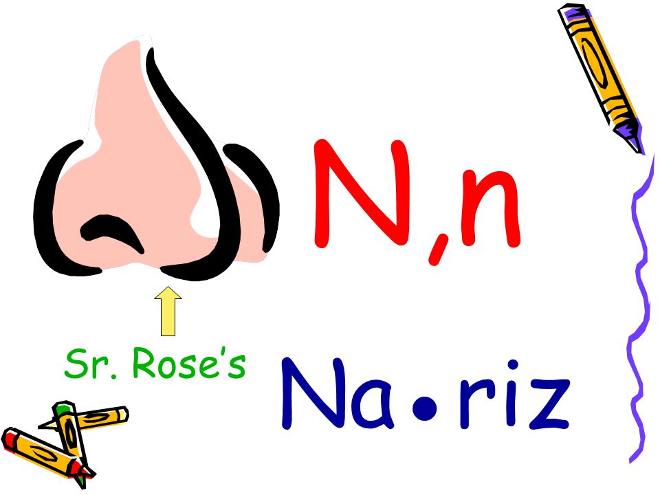 N,n Na●riz Sr. Rose’s