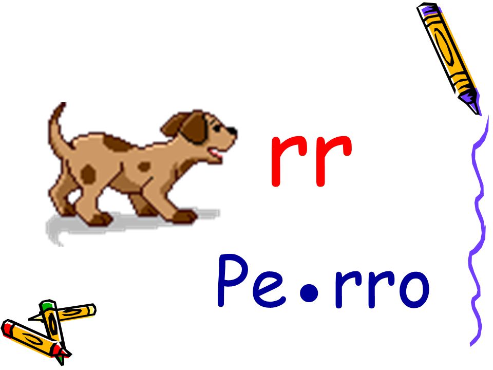 rr Pe●rro