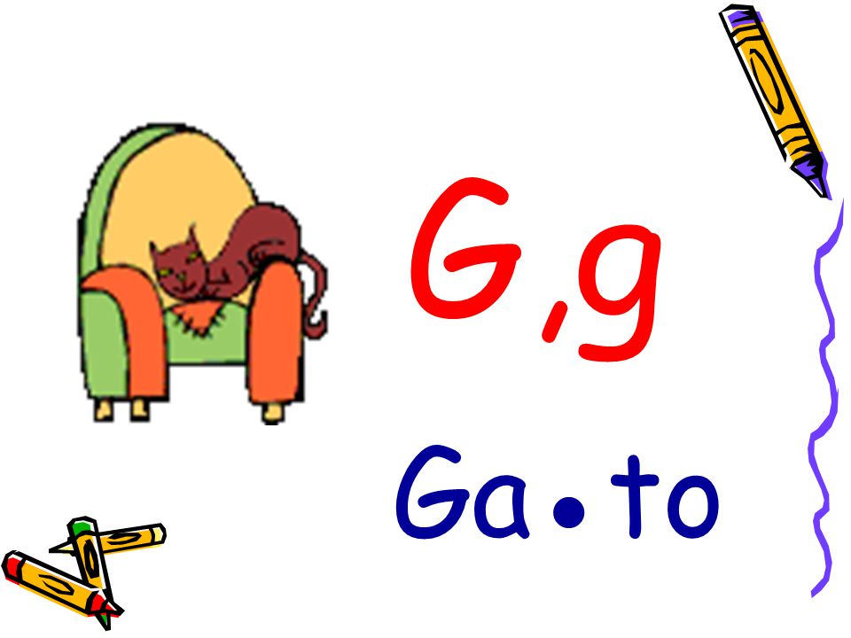 G,g Ga●to