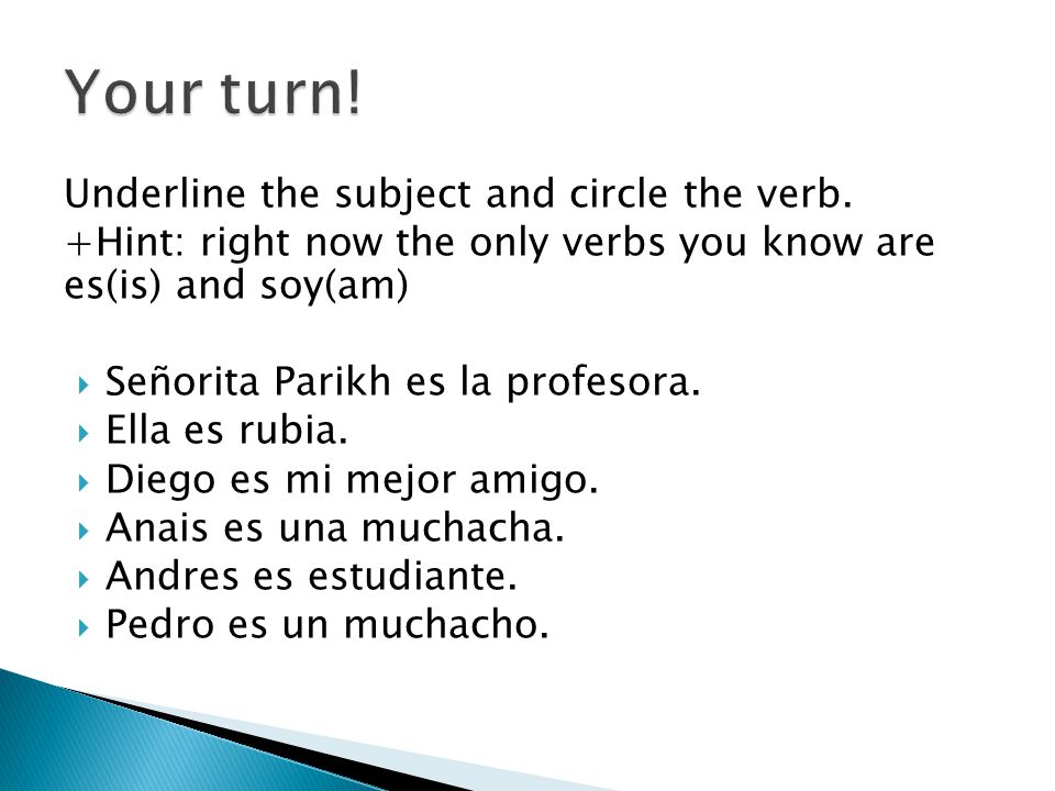 Underline the subject and circle the verb.