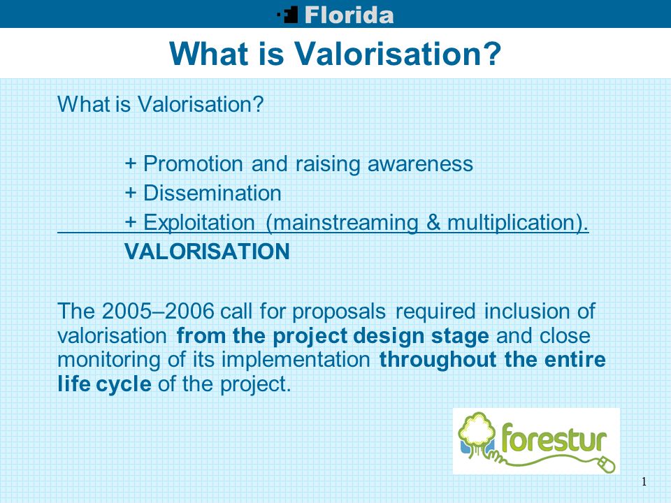 1 What is Valorisation.