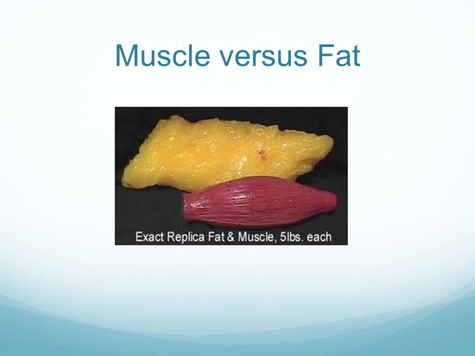Muscle versus Fat