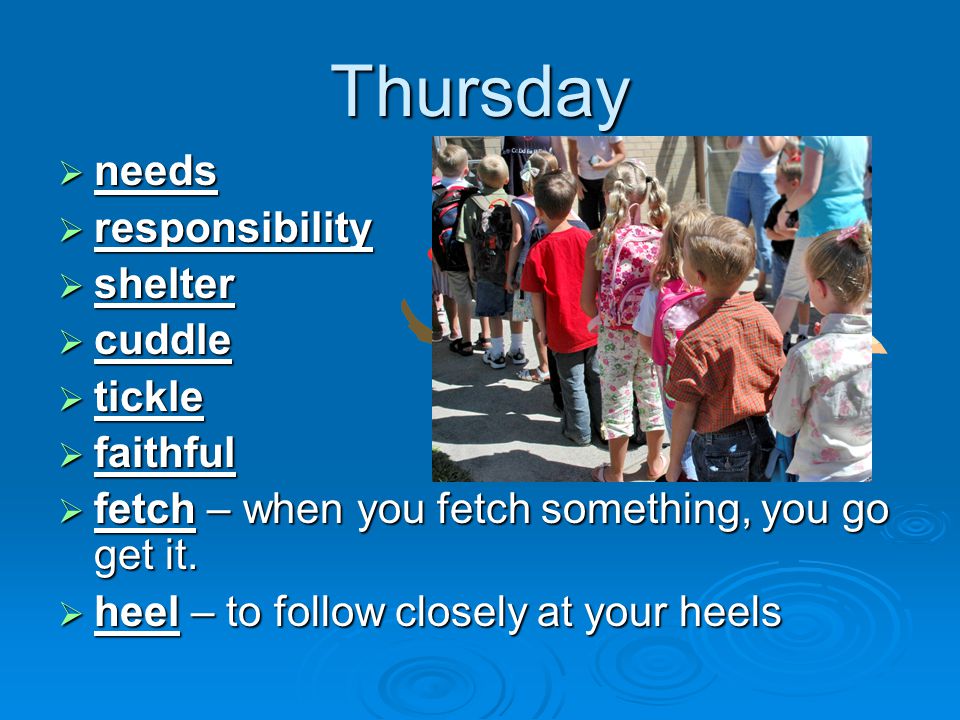 Thursday  needs  responsibility  shelter  cuddle  tickle  faithful  fetch – when you fetch something, you go get it.
