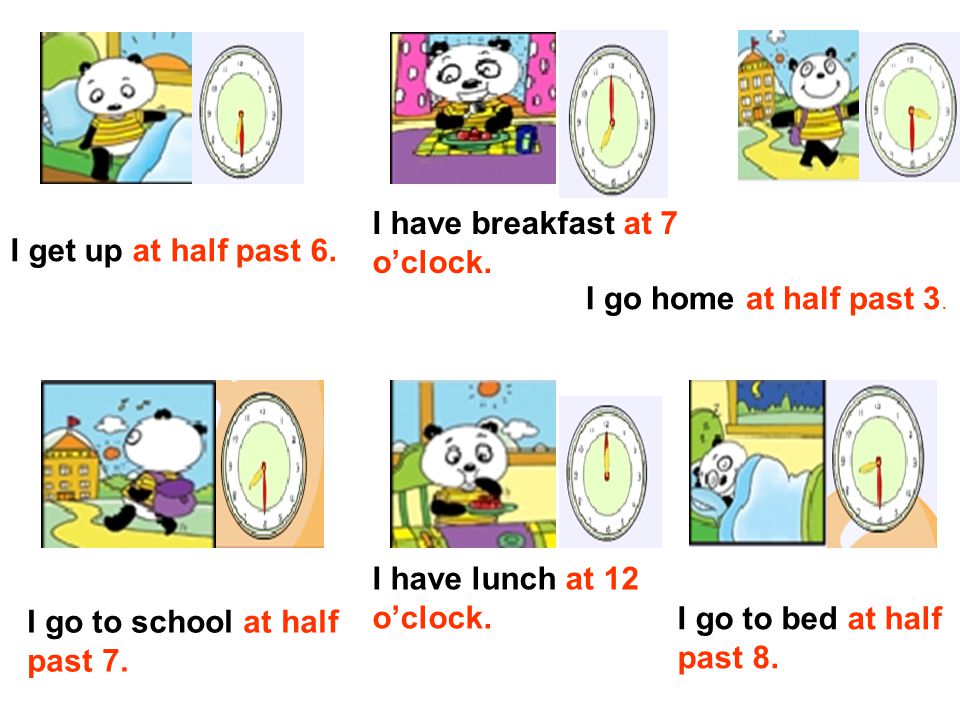 get up go to bed go home have breakfast have lunch go to school