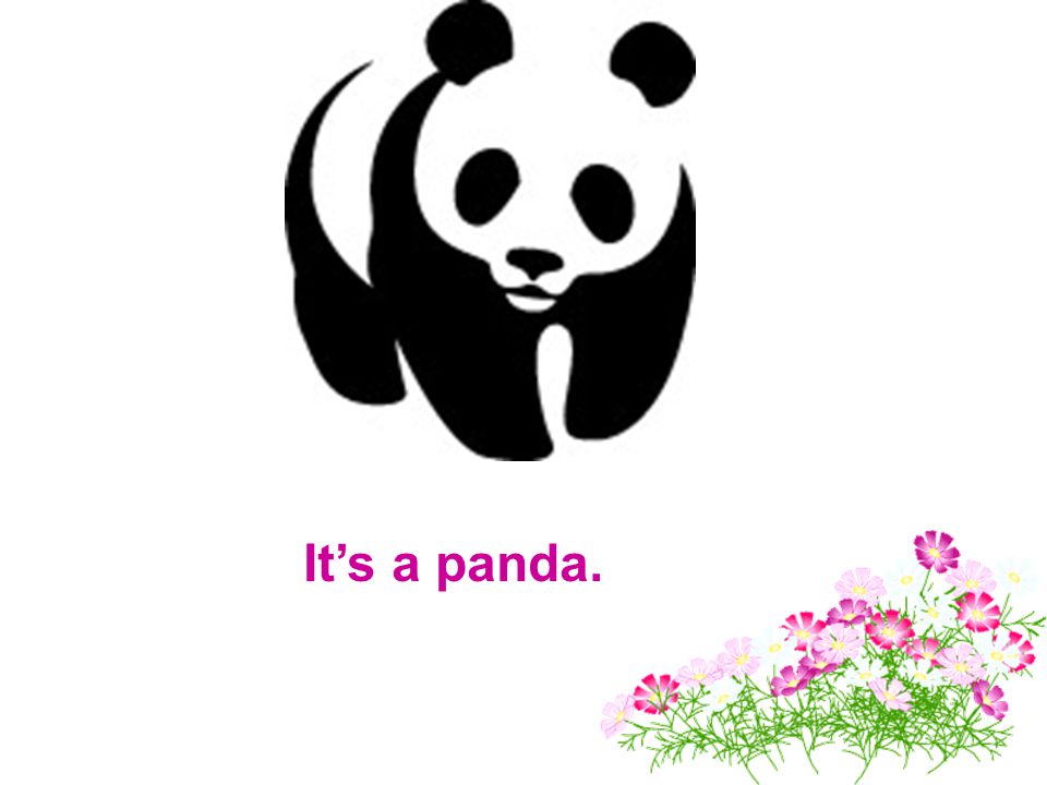 It’s a panda.