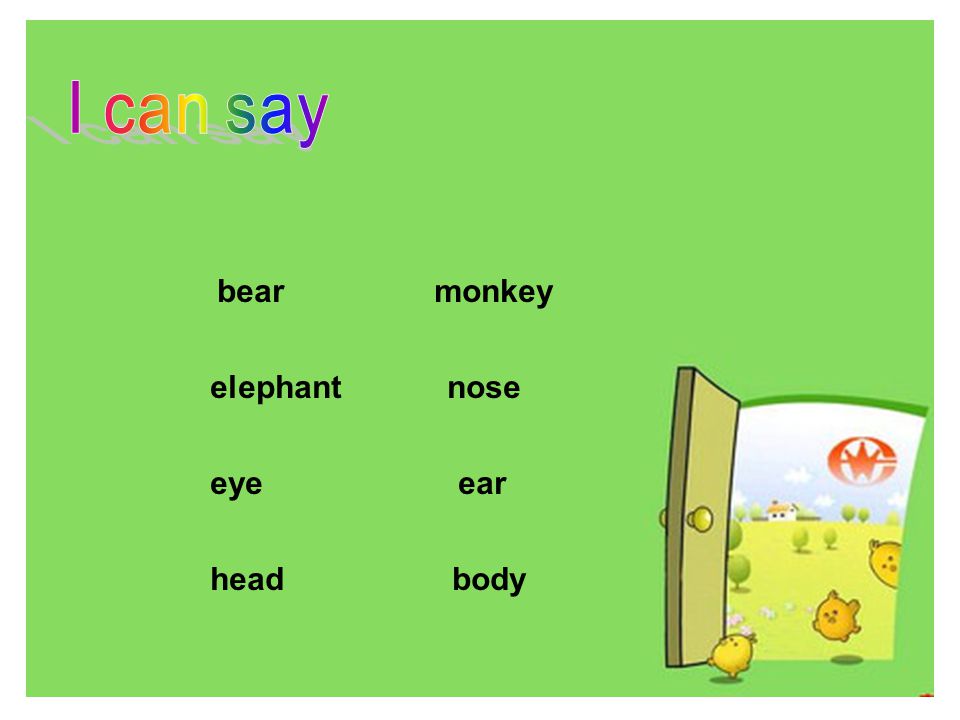 bear monkey elephant nose eye ear head body