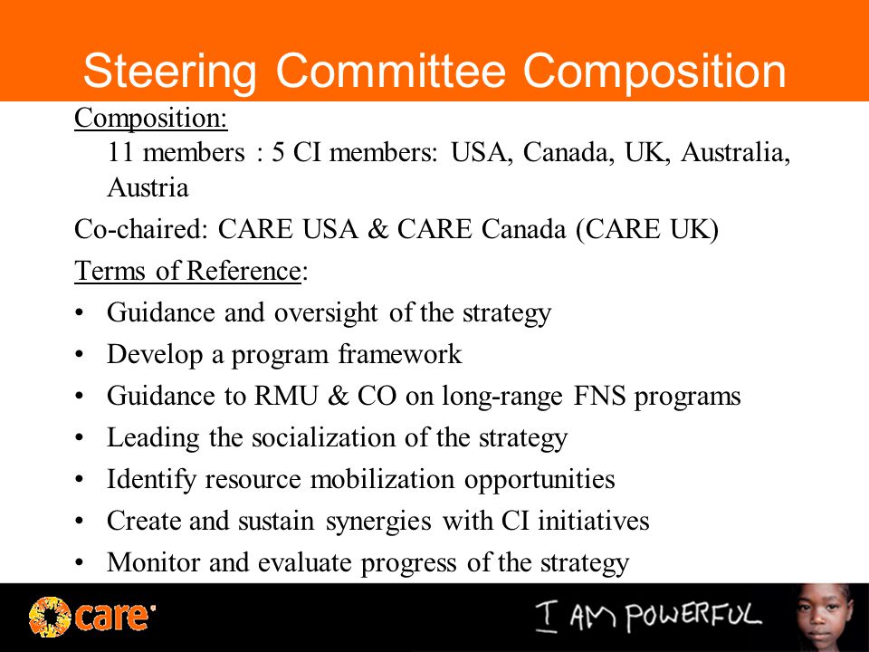 Steering Committee Composition Composition: 11 members : 5 CI members: USA, Canada, UK, Australia, Austria Co-chaired: CARE USA & CARE Canada (CARE UK) Terms of Reference: Guidance and oversight of the strategy Develop a program framework Guidance to RMU & CO on long-range FNS programs Leading the socialization of the strategy Identify resource mobilization opportunities Create and sustain synergies with CI initiatives Monitor and evaluate progress of the strategy