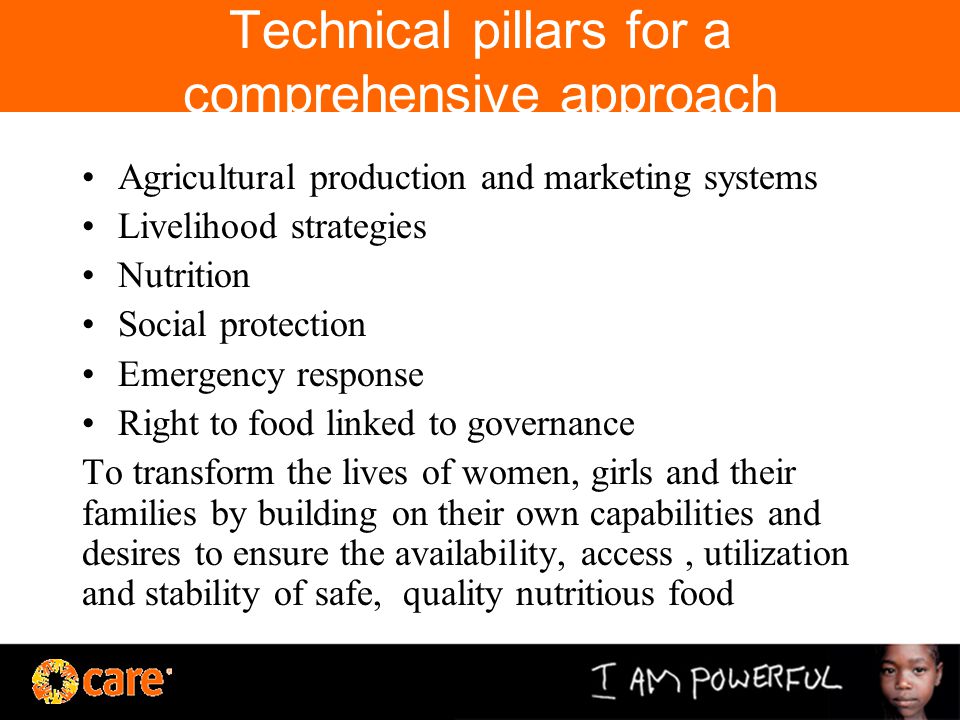 Technical pillars for a comprehensive approach Agricultural production and marketing systems Livelihood strategies Nutrition Social protection Emergency response Right to food linked to governance To transform the lives of women, girls and their families by building on their own capabilities and desires to ensure the availability, access, utilization and stability of safe, quality nutritious food