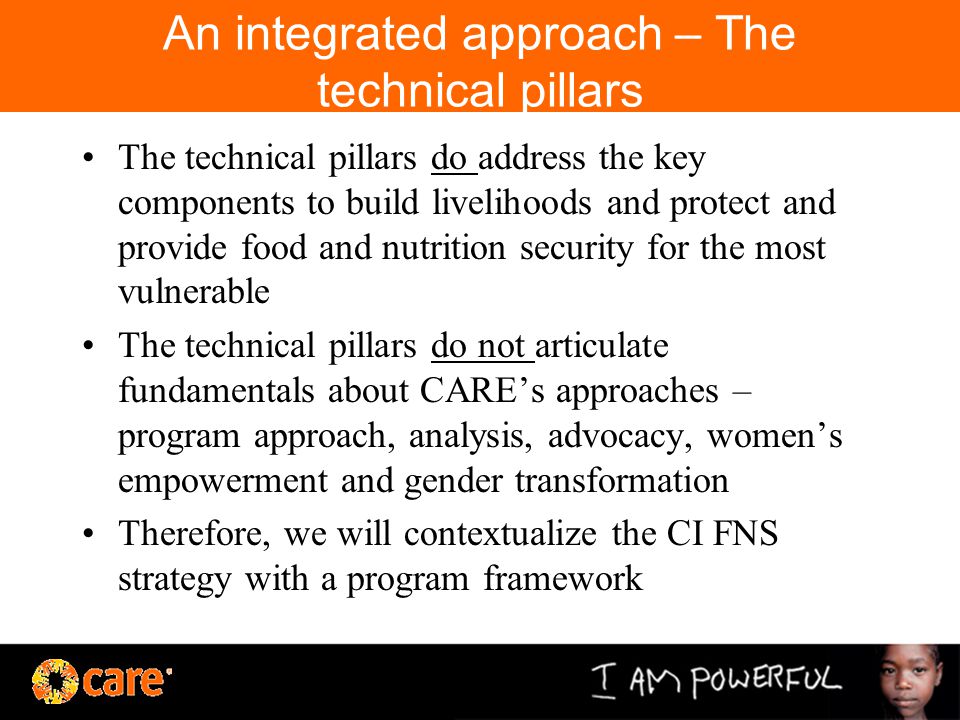 An integrated approach – The technical pillars The technical pillars do address the key components to build livelihoods and protect and provide food and nutrition security for the most vulnerable The technical pillars do not articulate fundamentals about CARE’s approaches – program approach, analysis, advocacy, women’s empowerment and gender transformation Therefore, we will contextualize the CI FNS strategy with a program framework