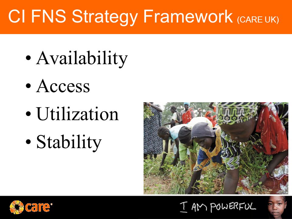 CI FNS Strategy Framework (CARE UK) Availability Access Utilization Stability