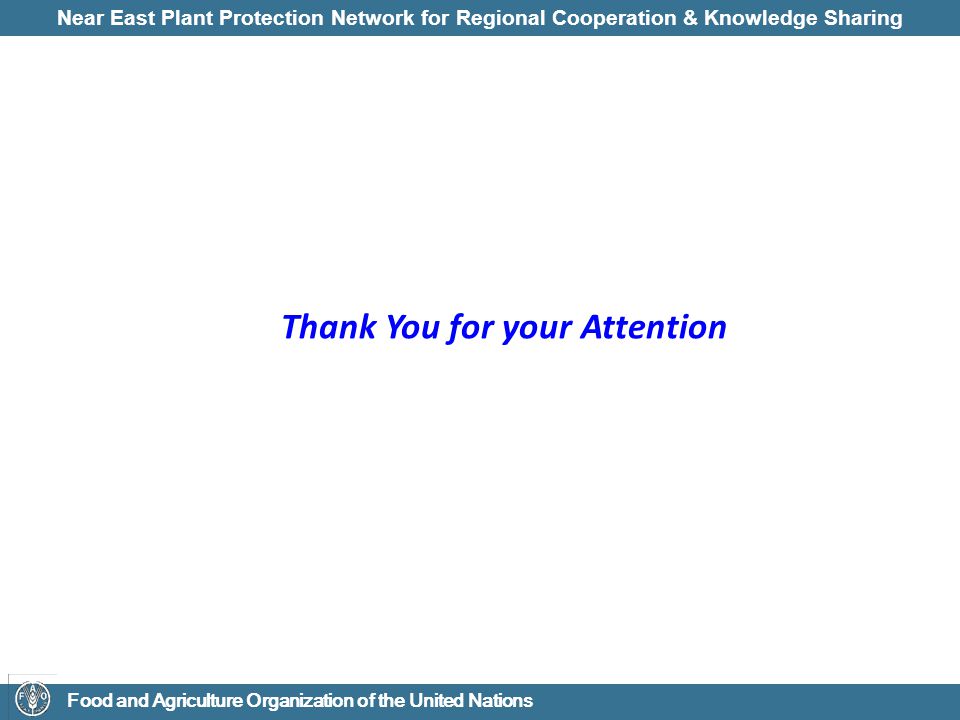 Near East Plant Protection Network for Regional Cooperation & Knowledge Sharing Food and Agriculture Organization of the United Nations Thank You for your Attention
