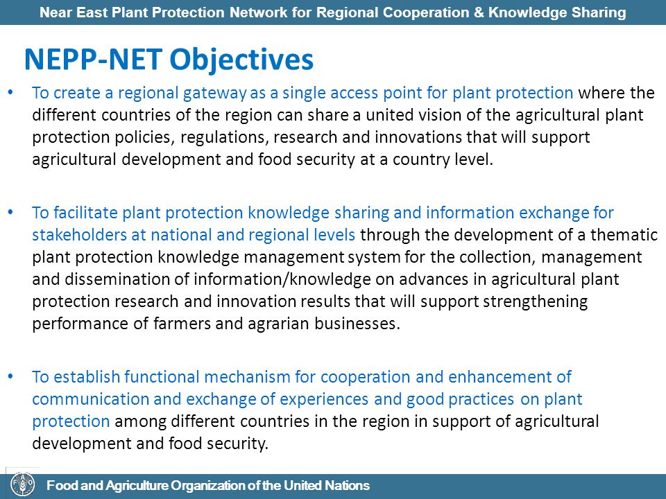 Near East Plant Protection Network for Regional Cooperation & Knowledge Sharing Food and Agriculture Organization of the United Nations NEPP-NET Objectives To create a regional gateway as a single access point for plant protection where the different countries of the region can share a united vision of the agricultural plant protection policies, regulations, research and innovations that will support agricultural development and food security at a country level.
