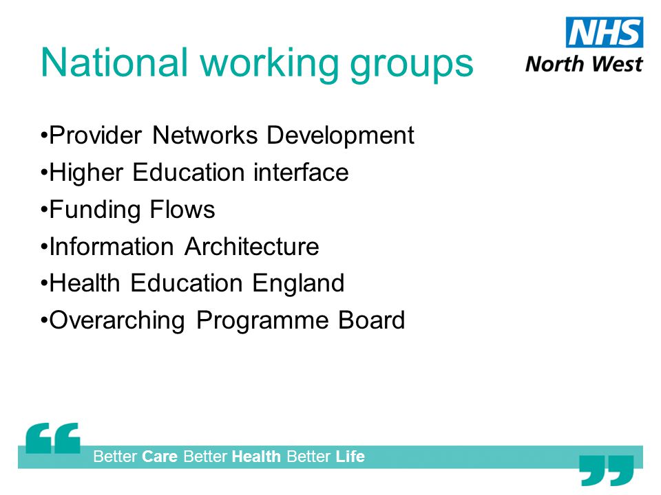 Better Care Better Health Better Life National working groups Provider Networks Development Higher Education interface Funding Flows Information Architecture Health Education England Overarching Programme Board