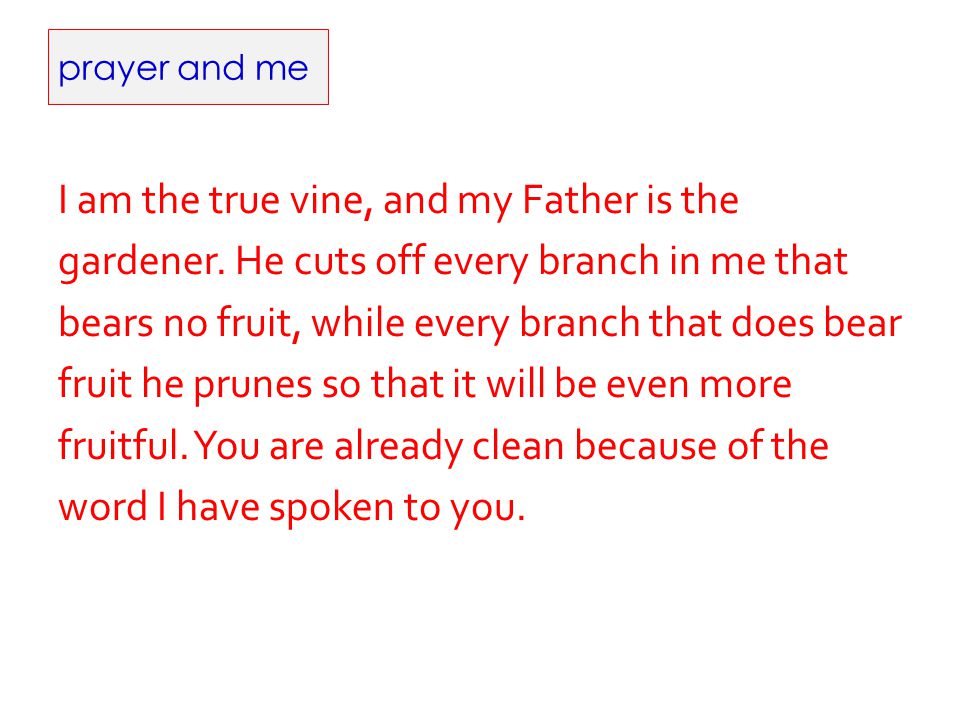prayer and me I am the true vine, and my Father is the gardener.