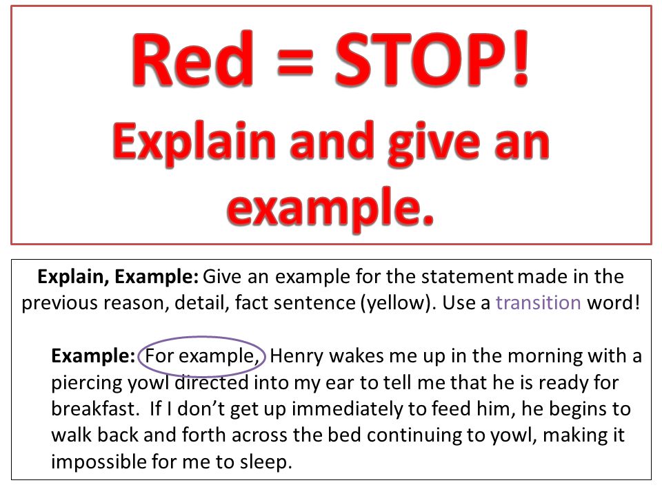 Explain, Example: Give an example for the statement made in the previous reason, detail, fact sentence (yellow).
