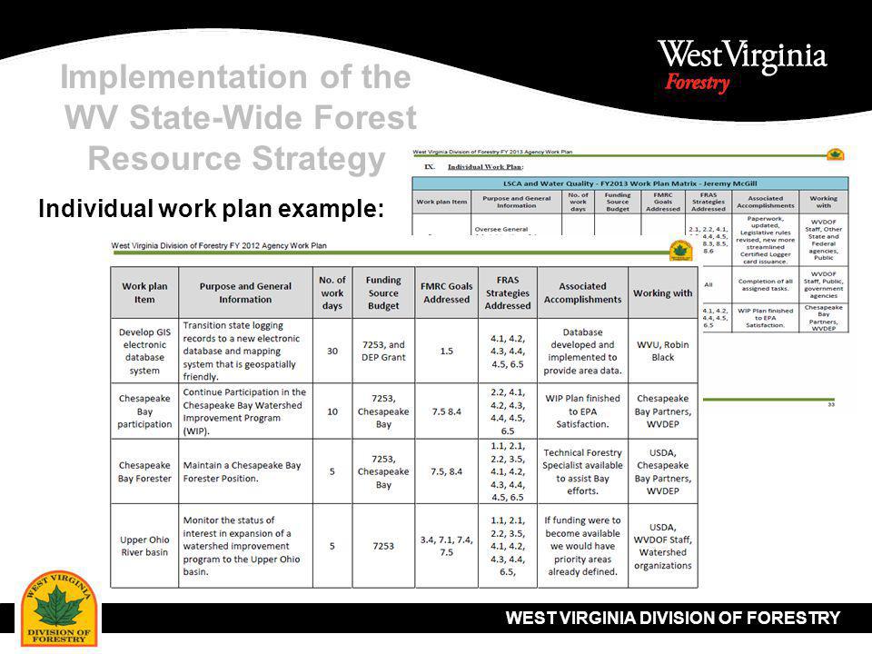WEST VIRGINIA DIVISION OF FORESTRY Implementation of the WV State-Wide Forest Resource Strategy Individual work plan example: