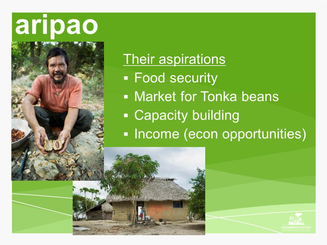 aripao Their aspirations  Food security  Market for Tonka beans  Capacity building  Income (econ opportunities)