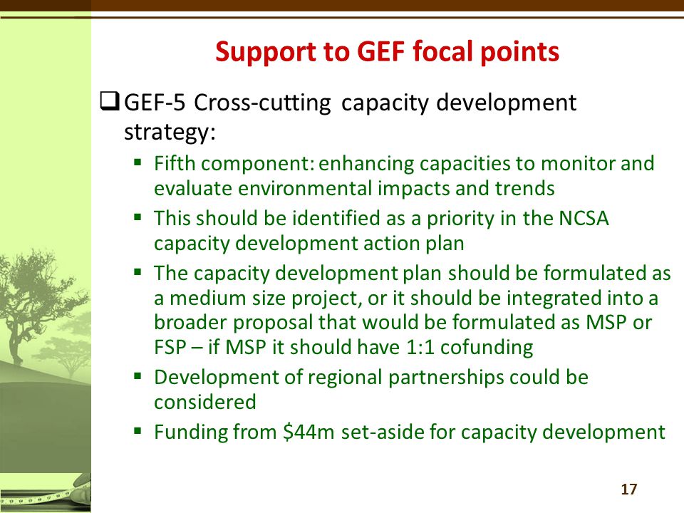  GEF-5 Cross-cutting capacity development strategy:  Fifth component: enhancing capacities to monitor and evaluate environmental impacts and trends  This should be identified as a priority in the NCSA capacity development action plan  The capacity development plan should be formulated as a medium size project, or it should be integrated into a broader proposal that would be formulated as MSP or FSP – if MSP it should have 1:1 cofunding  Development of regional partnerships could be considered  Funding from $44m set-aside for capacity development 17