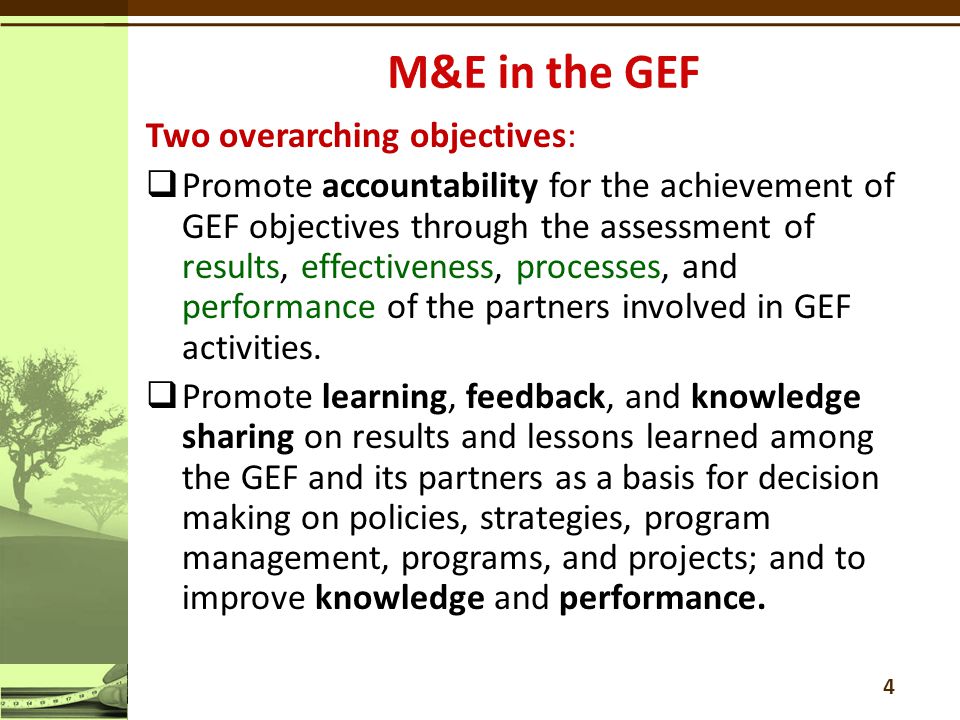 Two overarching objectives:  Promote accountability for the achievement of GEF objectives through the assessment of results, effectiveness, processes, and performance of the partners involved in GEF activities.